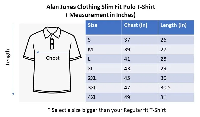 Alan Jones Clothing Solid Men's Polo Neck T-Shirt (Desert Rose_L)
