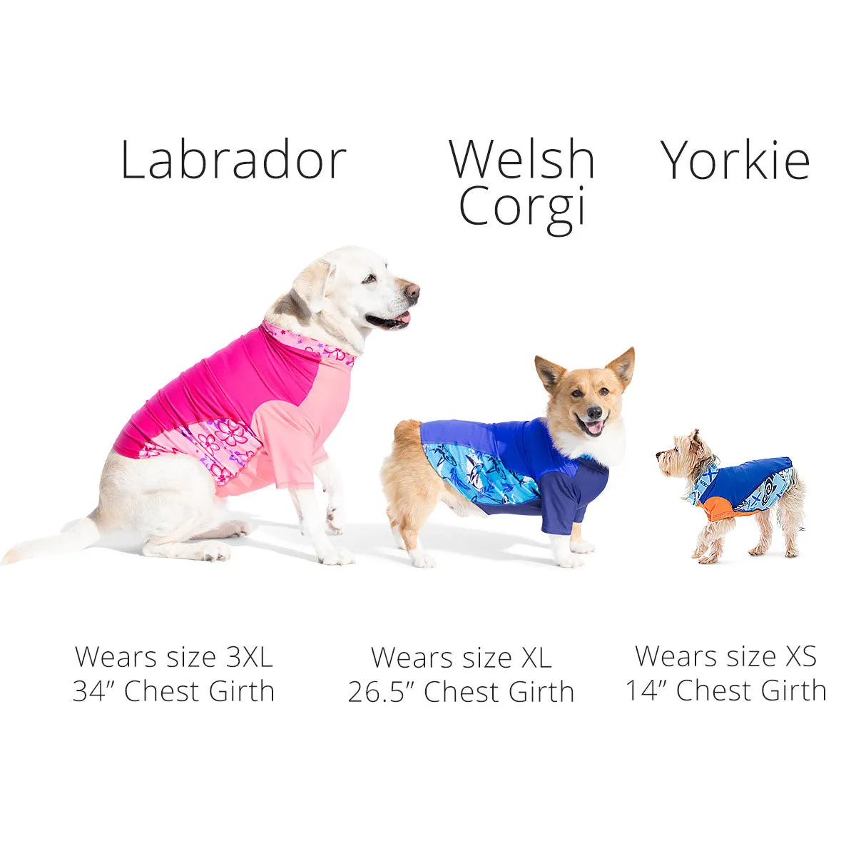 Dog Sun Shirt - Lago (Made in USA)