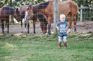 Hold your Horses Kid's Shirt