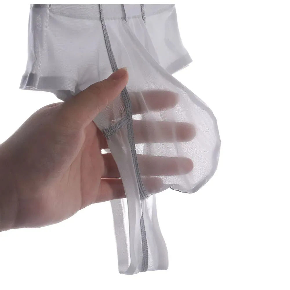 Men's See-through Ultra Thin Ice Silk Low-Rise  Briefs Up to Size XXL (5-Pack) -JEWYEE 834