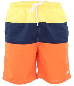 Mens Striped Swim Shorts