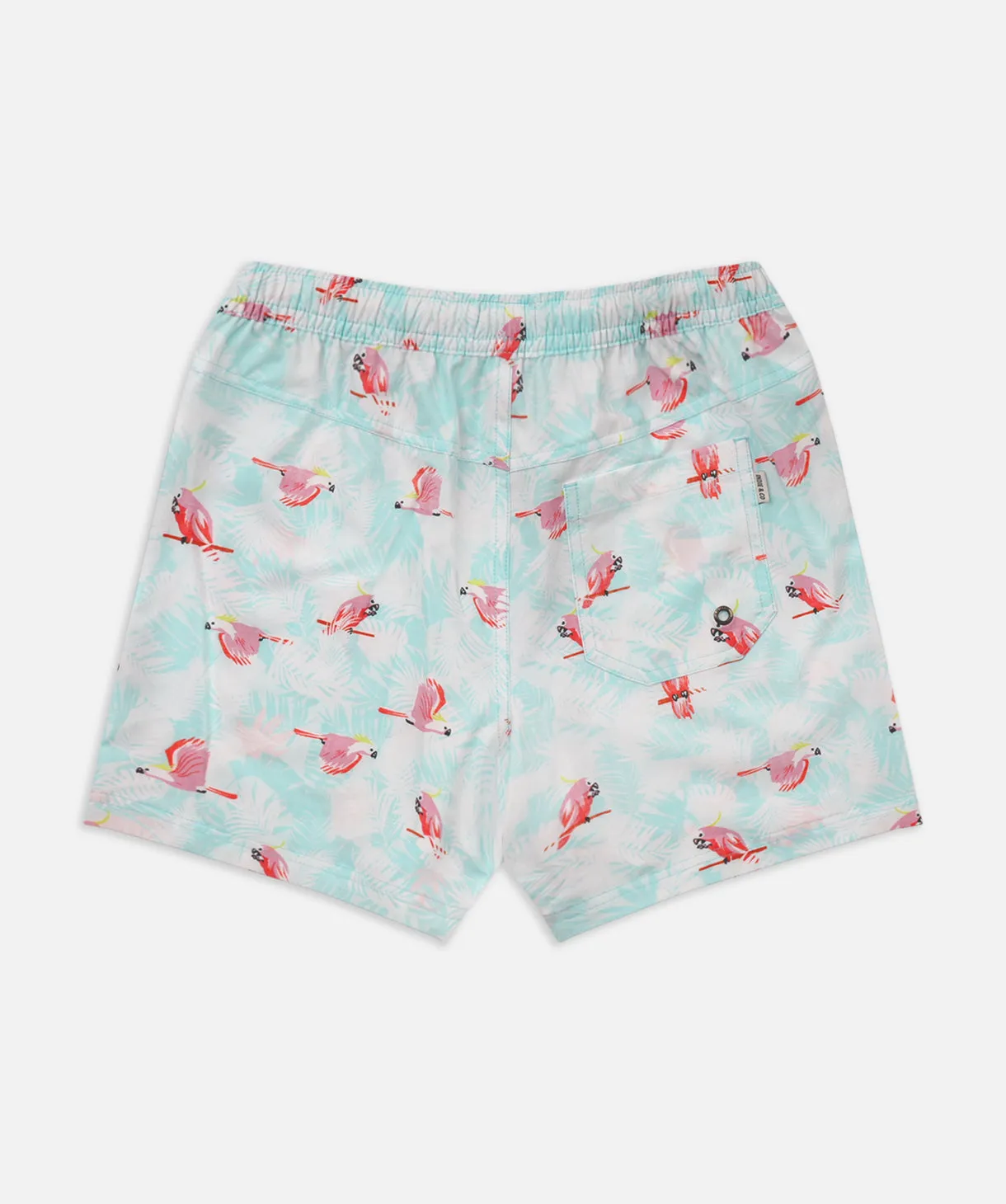 The Tampa Swim Short - Teal/Combo